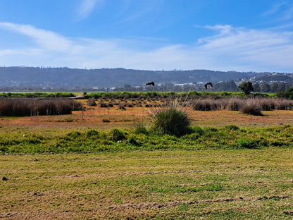  Steenbok Nature Reserve