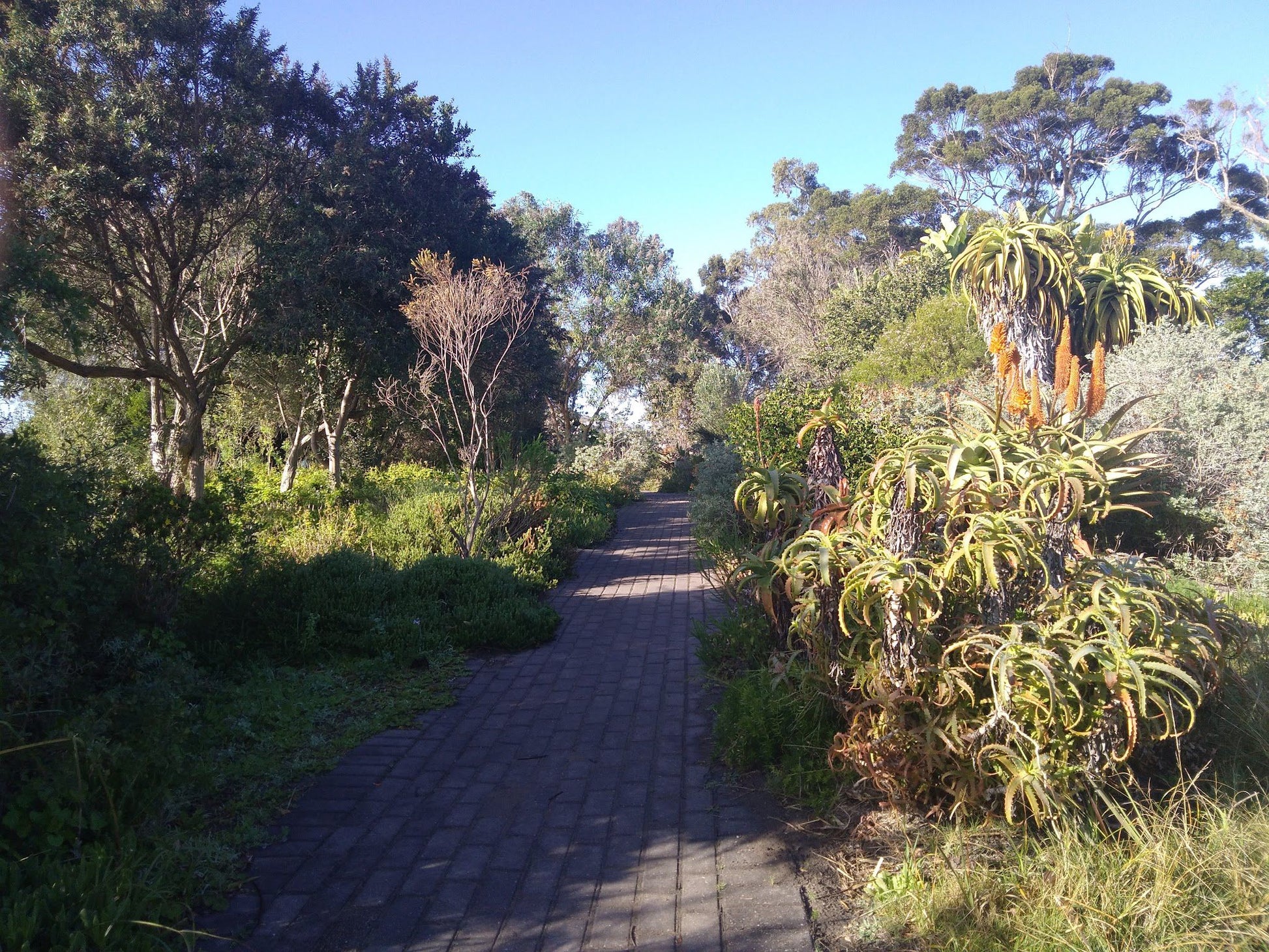  Steenbok Nature Reserve