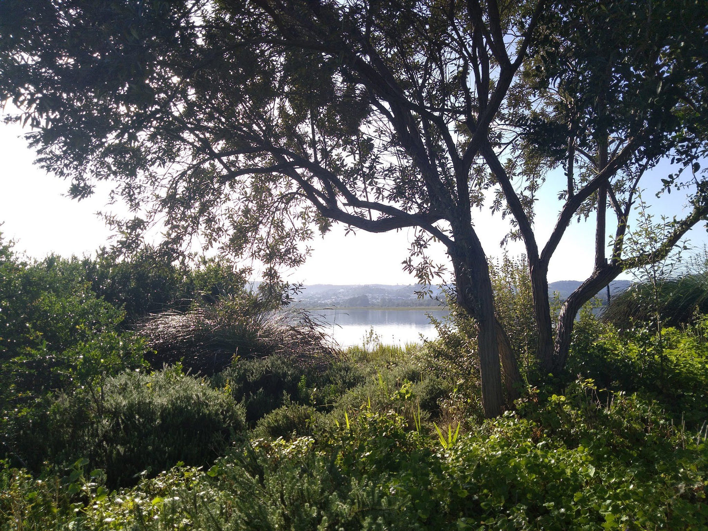  Steenbok Nature Reserve