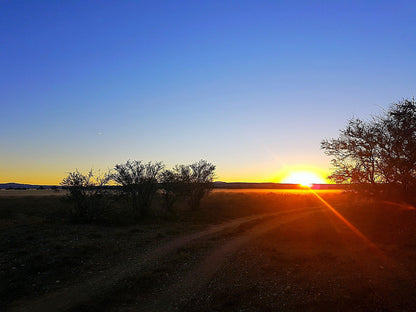  Steenbokkie Private Nature Reserve