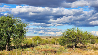  Steenbokkie Private Nature Reserve