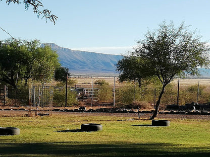  Steenbokkie Private Nature Reserve