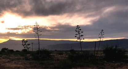  Steenbokkie Private Nature Reserve