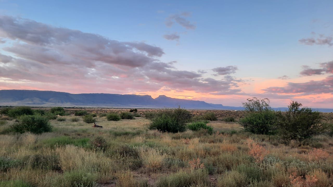  Steenbokkie Private Nature Reserve