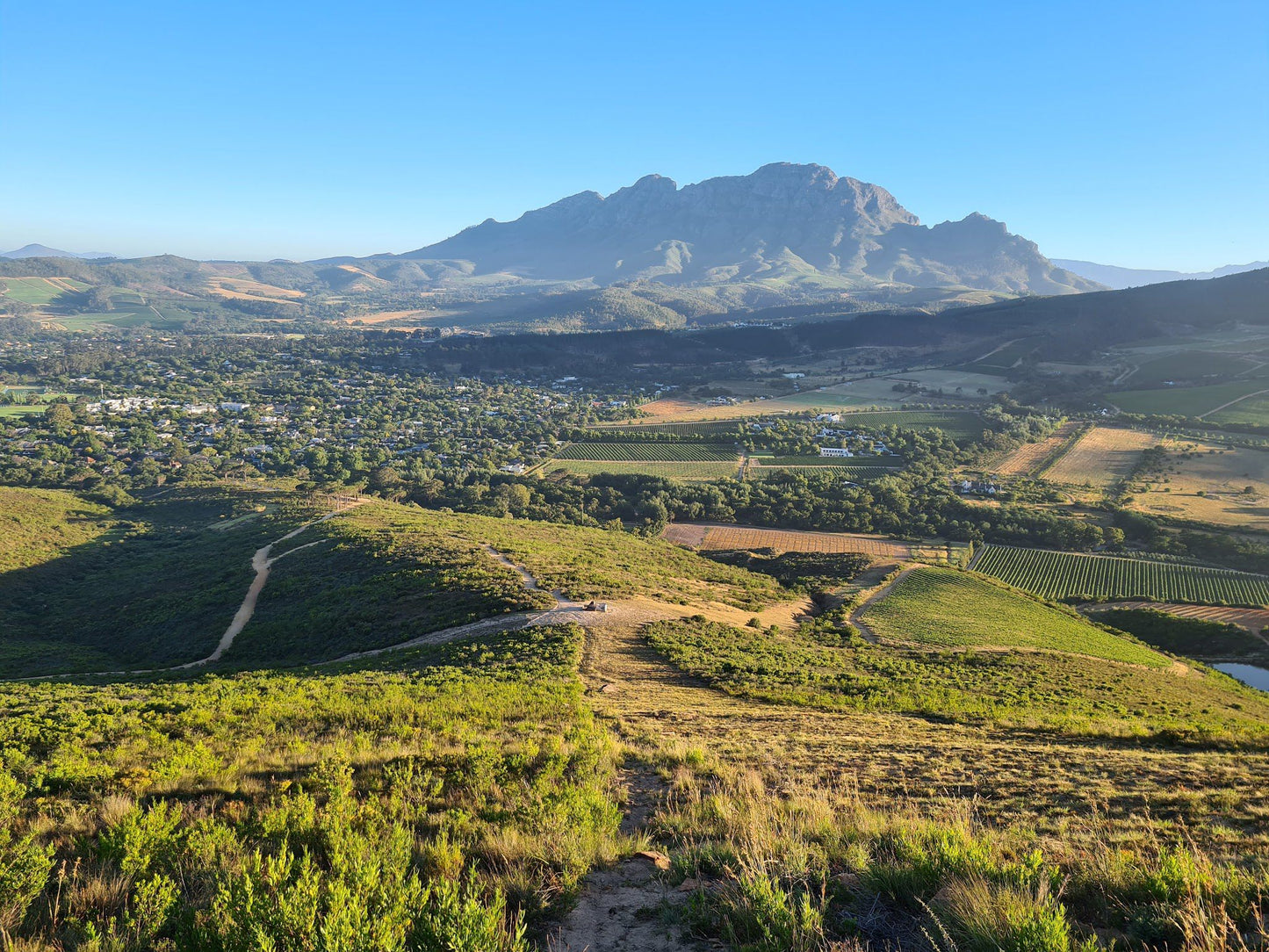 Stellenbosch Mountain