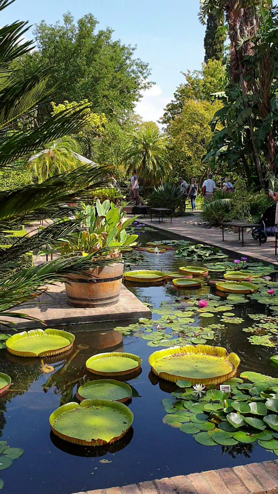  Stellenbosch University Botanical Garden