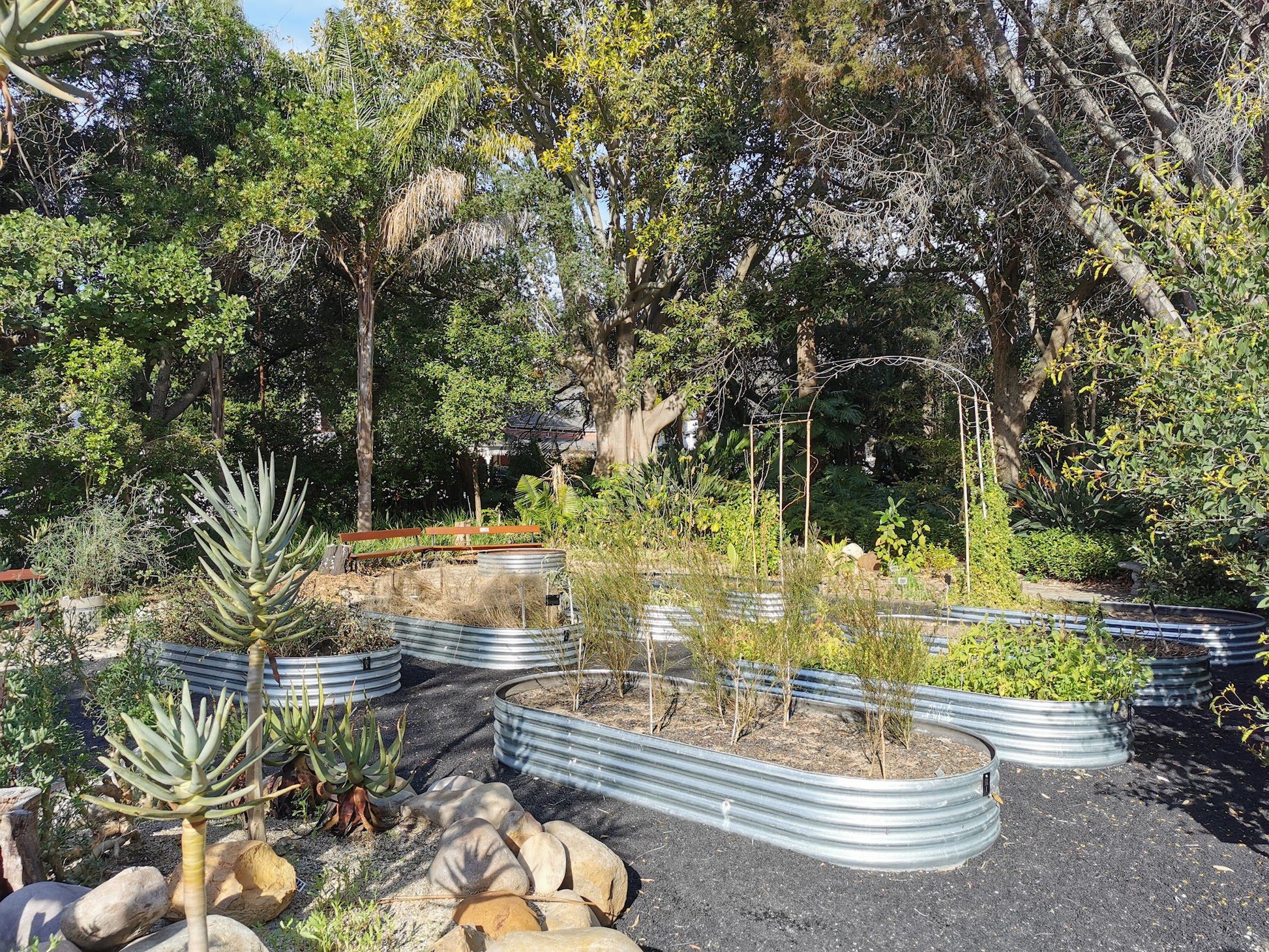  Stellenbosch University Botanical Garden