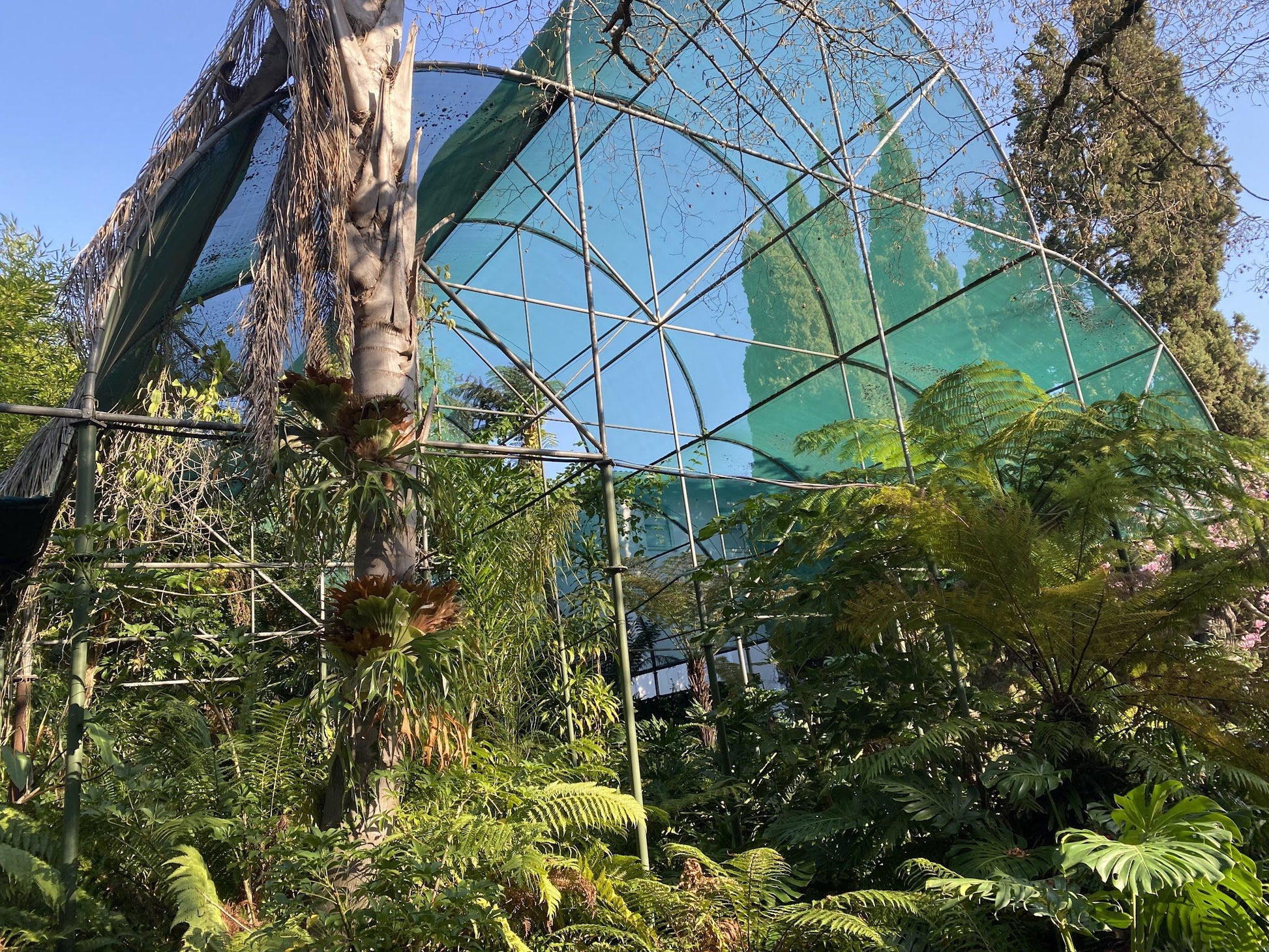  Stellenbosch University Botanical Garden