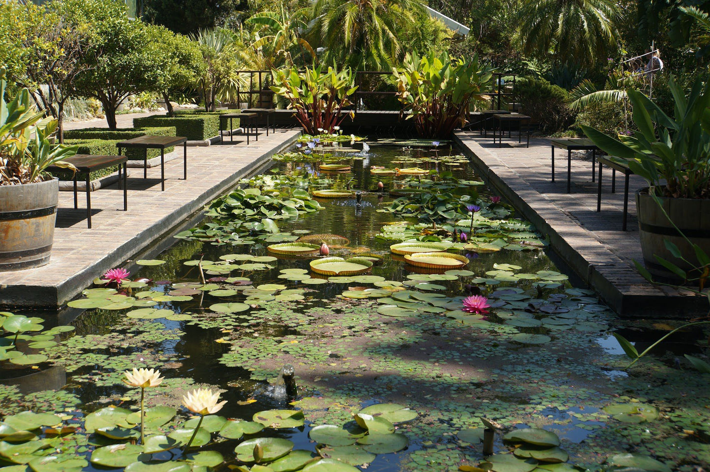  Stellenbosch University Botanical Garden