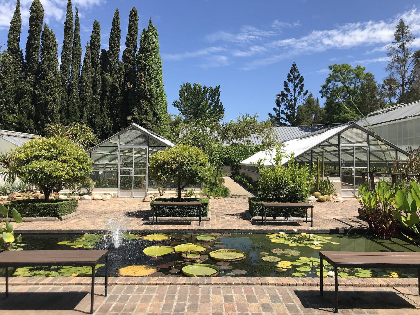  Stellenbosch University Botanical Garden