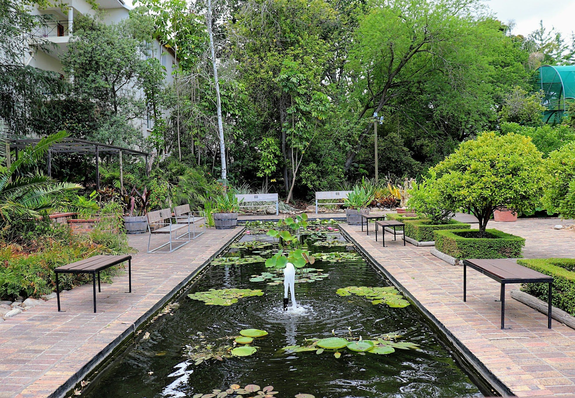  Stellenbosch University Botanical Garden