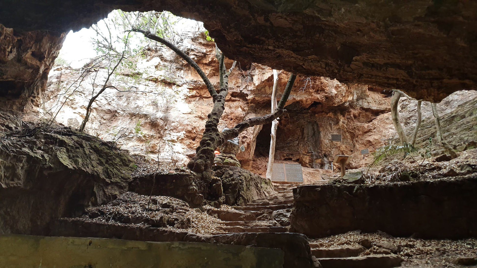  Sterkfontein Caves