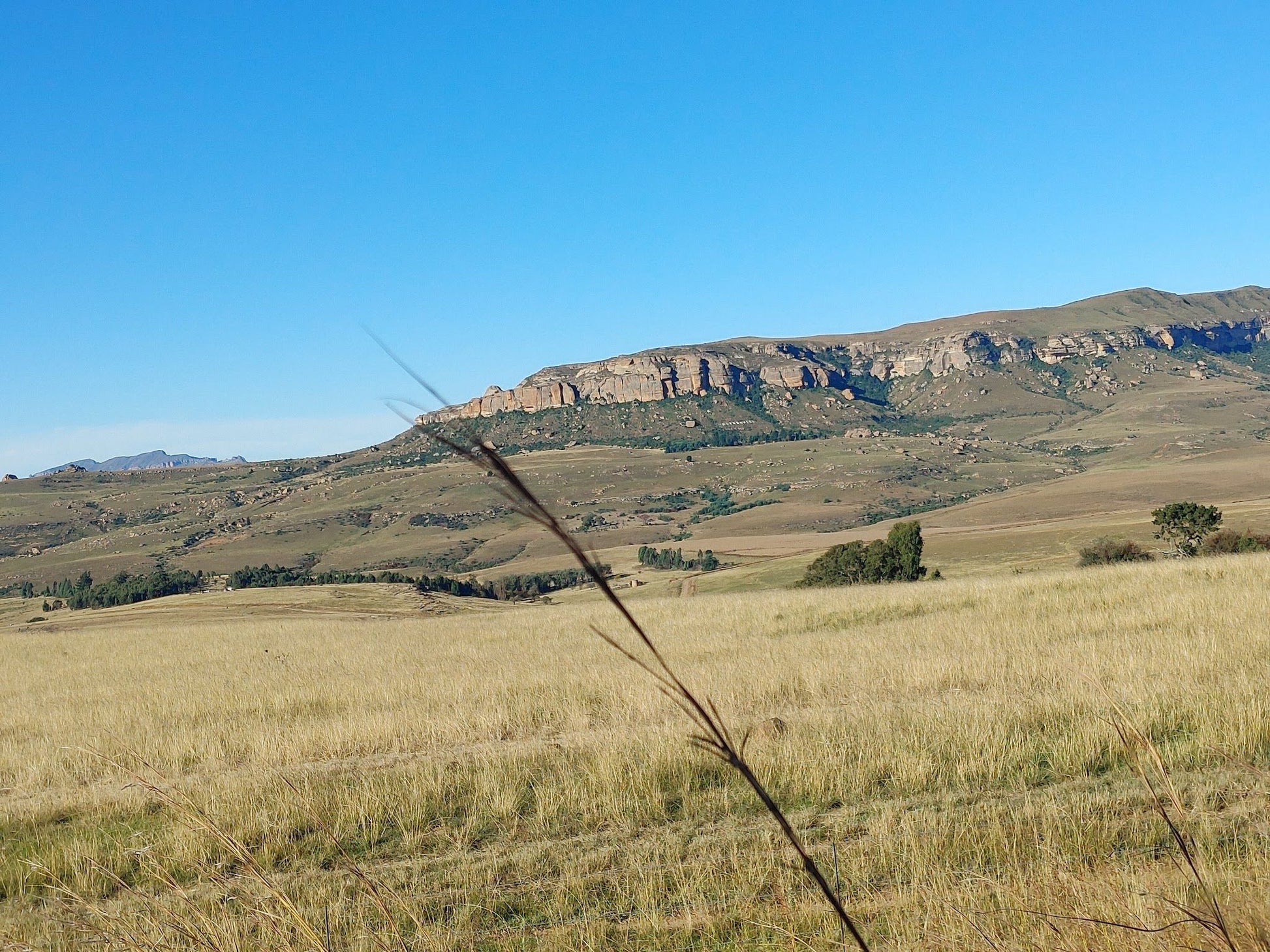  Sterkfontein Dam View Point