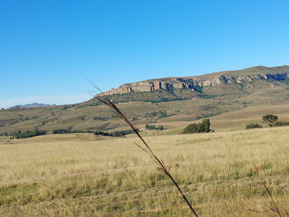  Sterkfontein Dam View Point