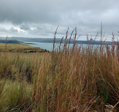  Sterkfontein Dam View Point