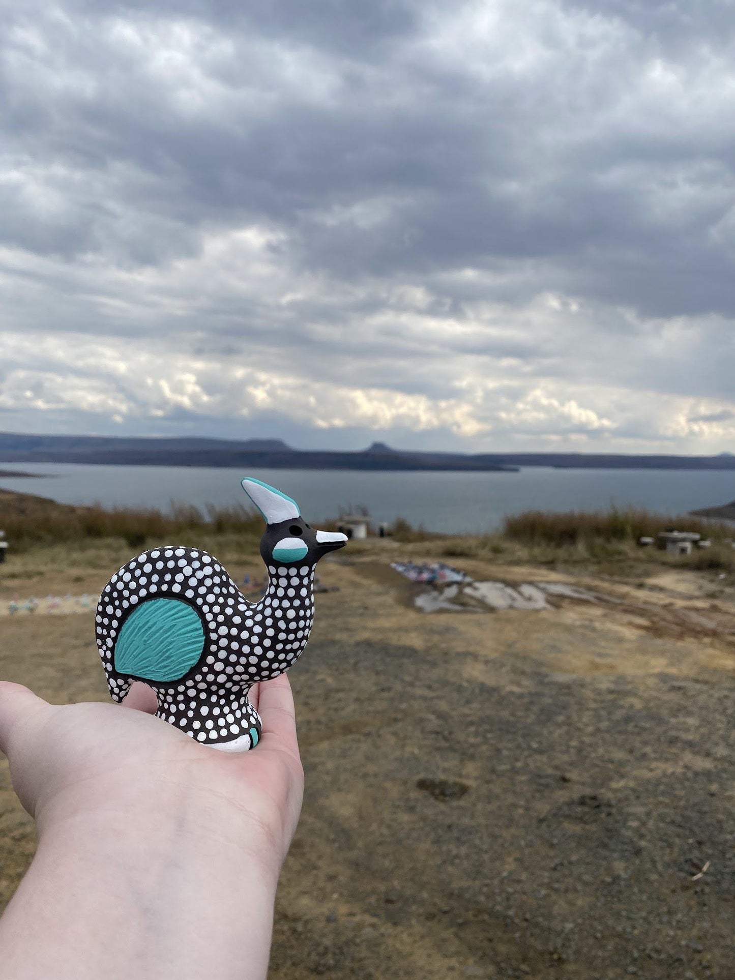  Sterkfontein Dam View Point