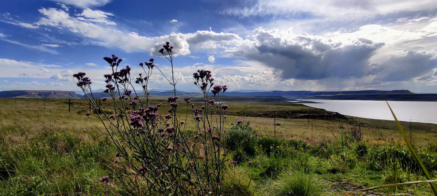  Sterkfontein Dam View Point