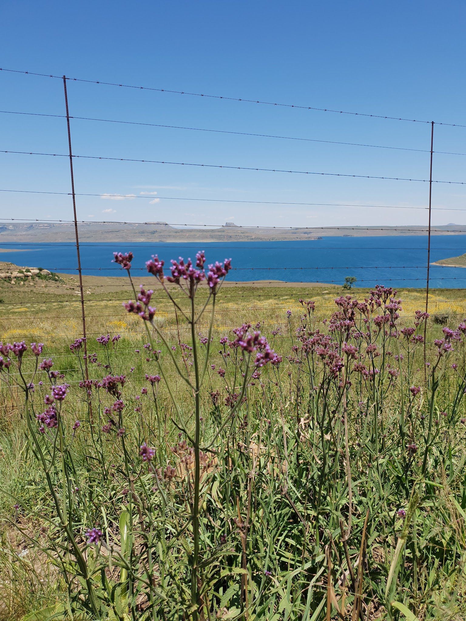  Sterkfontein Dam View Point