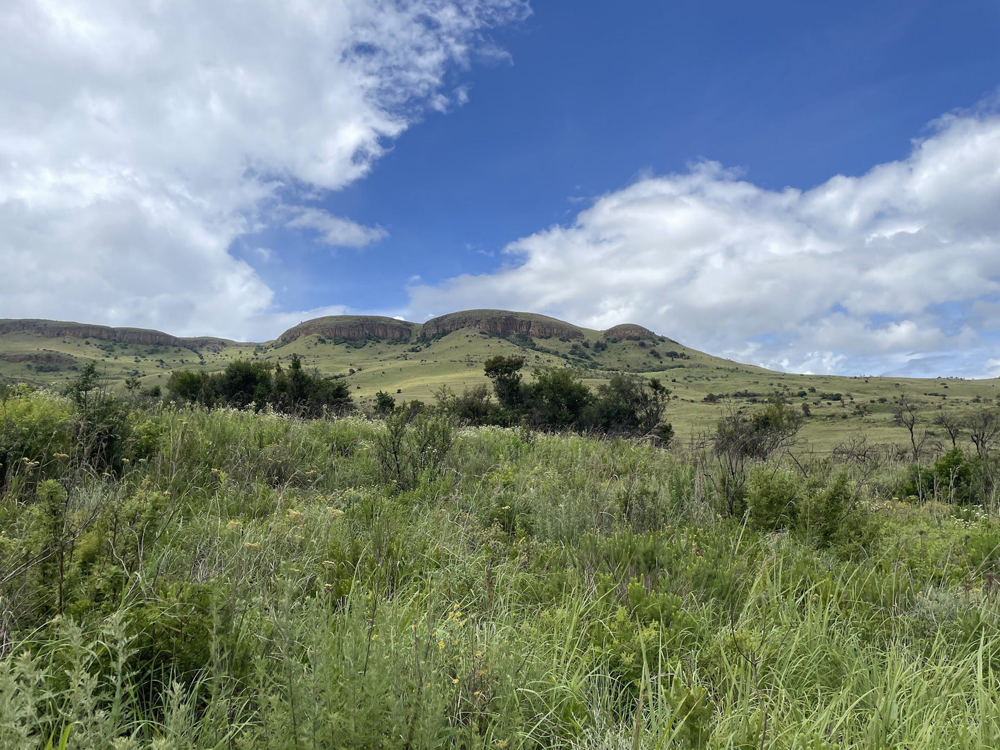  Sterkspruit Nature Reserve