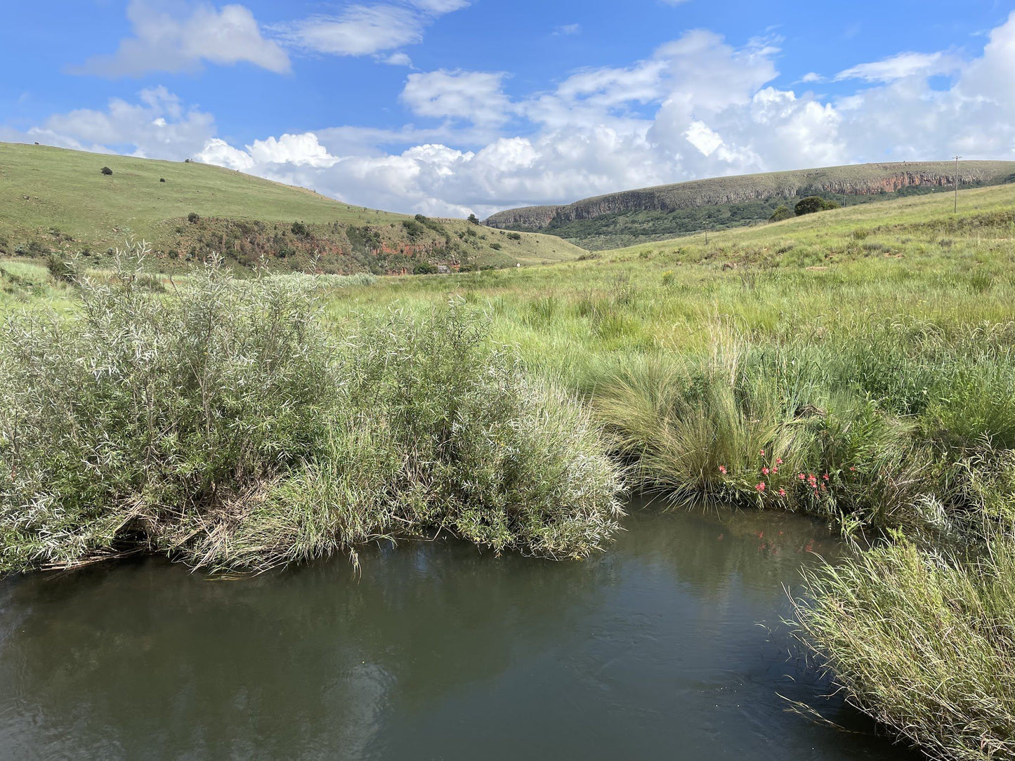  Sterkspruit Nature Reserve