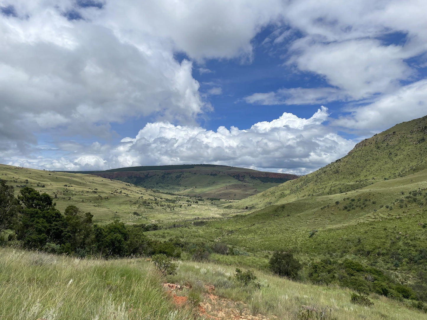  Sterkspruit Nature Reserve