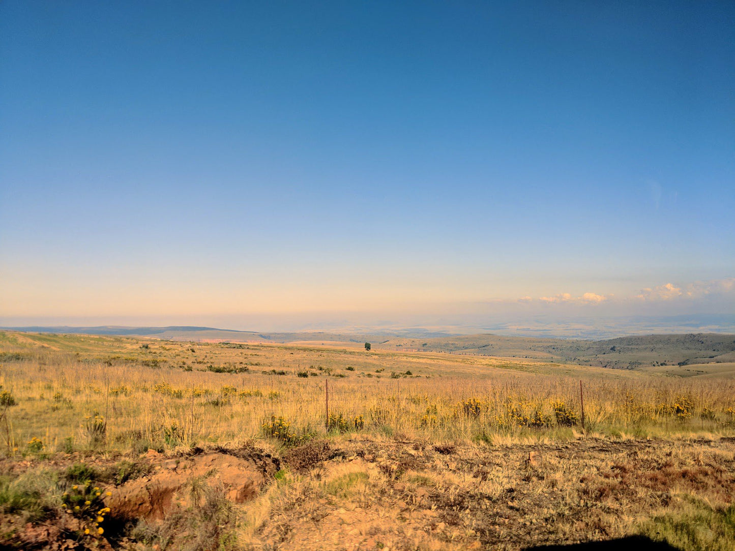  Sterkspruit Nature Reserve