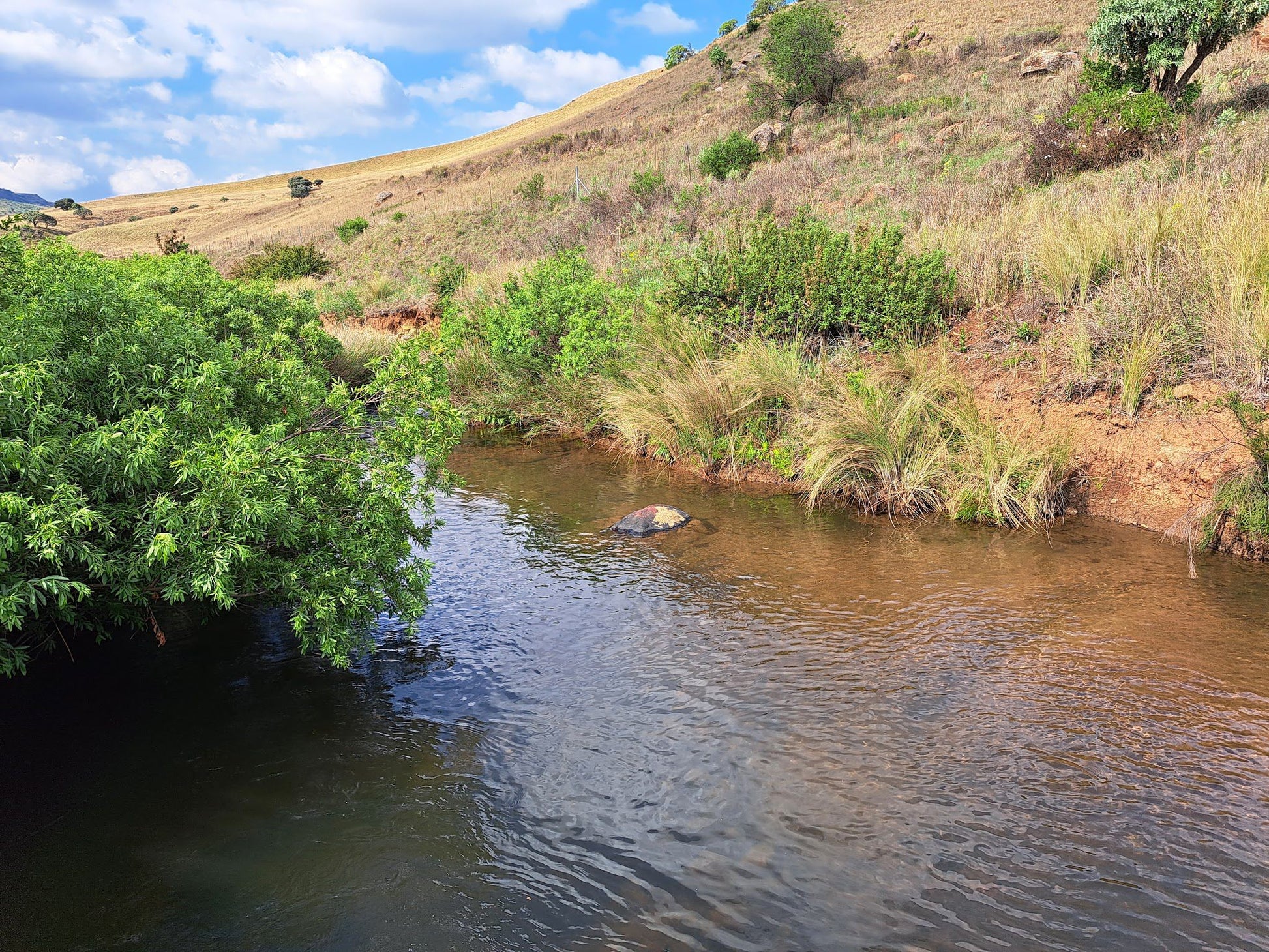  Sterkspruit Nature Reserve