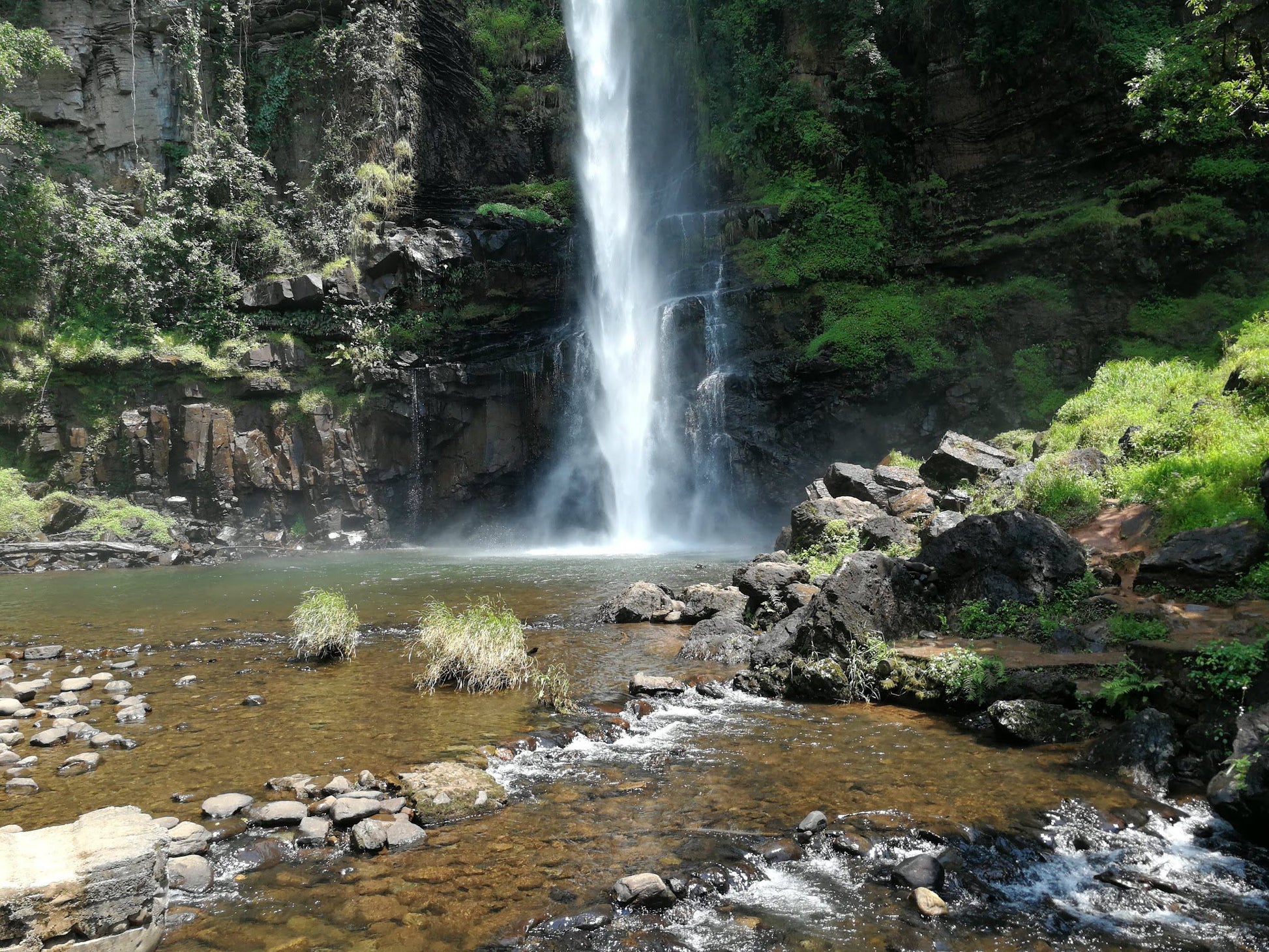  Sterkspruit Nature Reserve