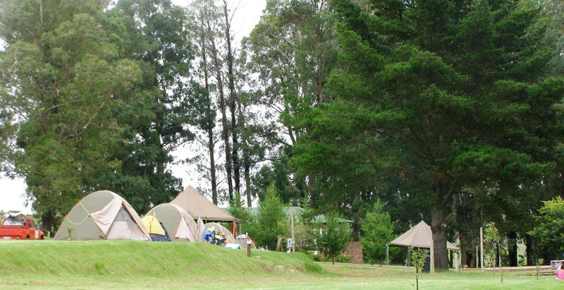 Stonechat Caravan Park Schoemanskloof Mpumalanga South Africa Tent, Architecture, Tree, Plant, Nature, Wood