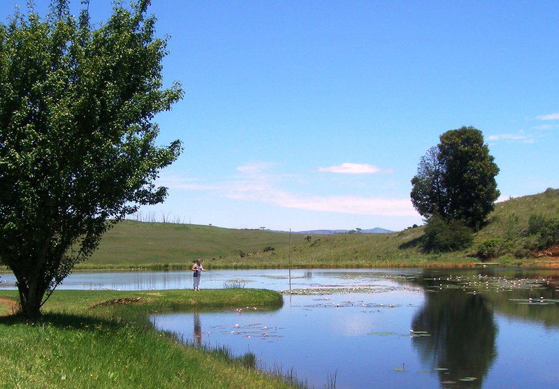 Stonechat Caravan Park Schoemanskloof Mpumalanga South Africa Complementary Colors, River, Nature, Waters, Tree, Plant, Wood