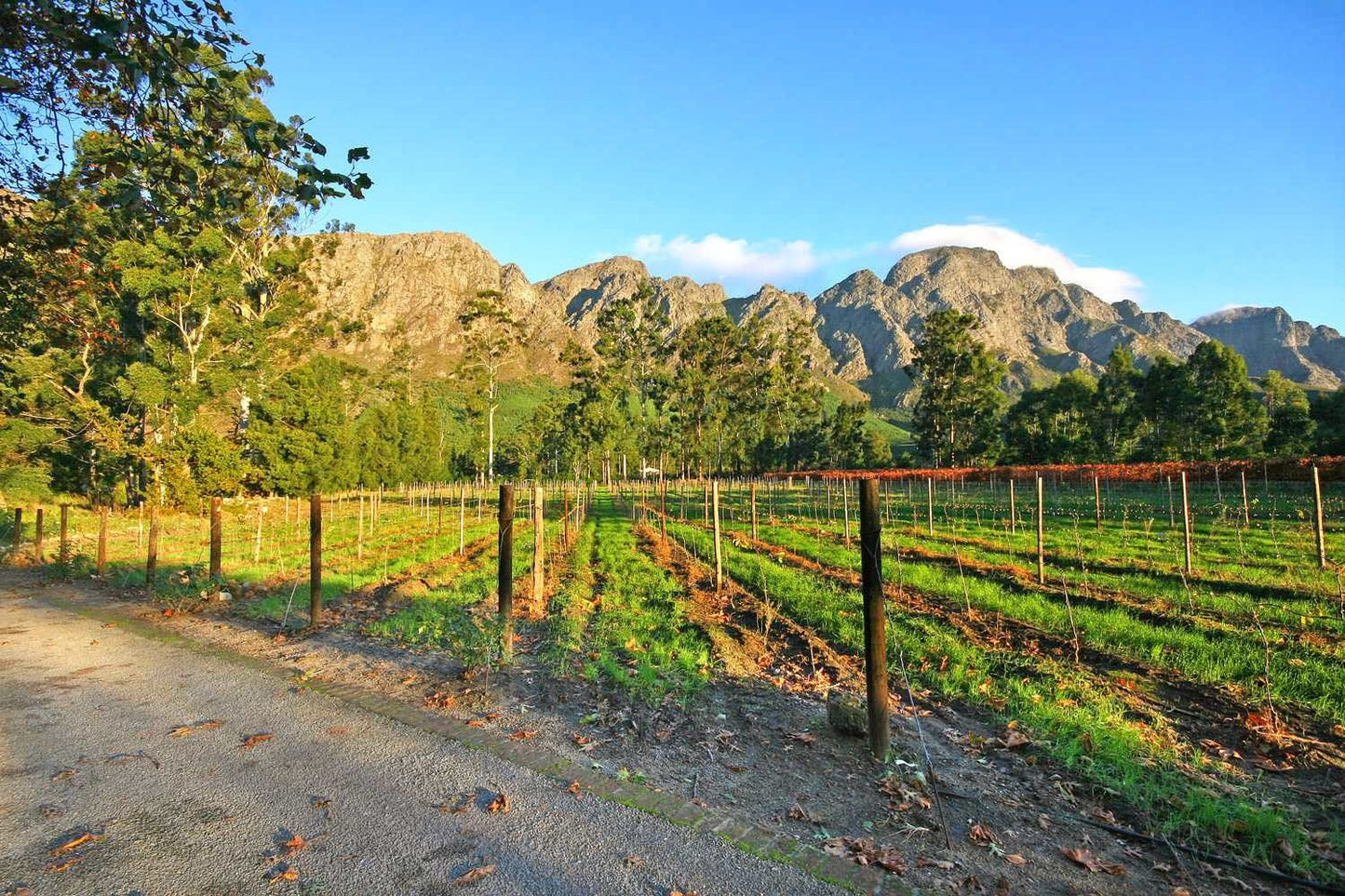  Stony Brook Vineyards