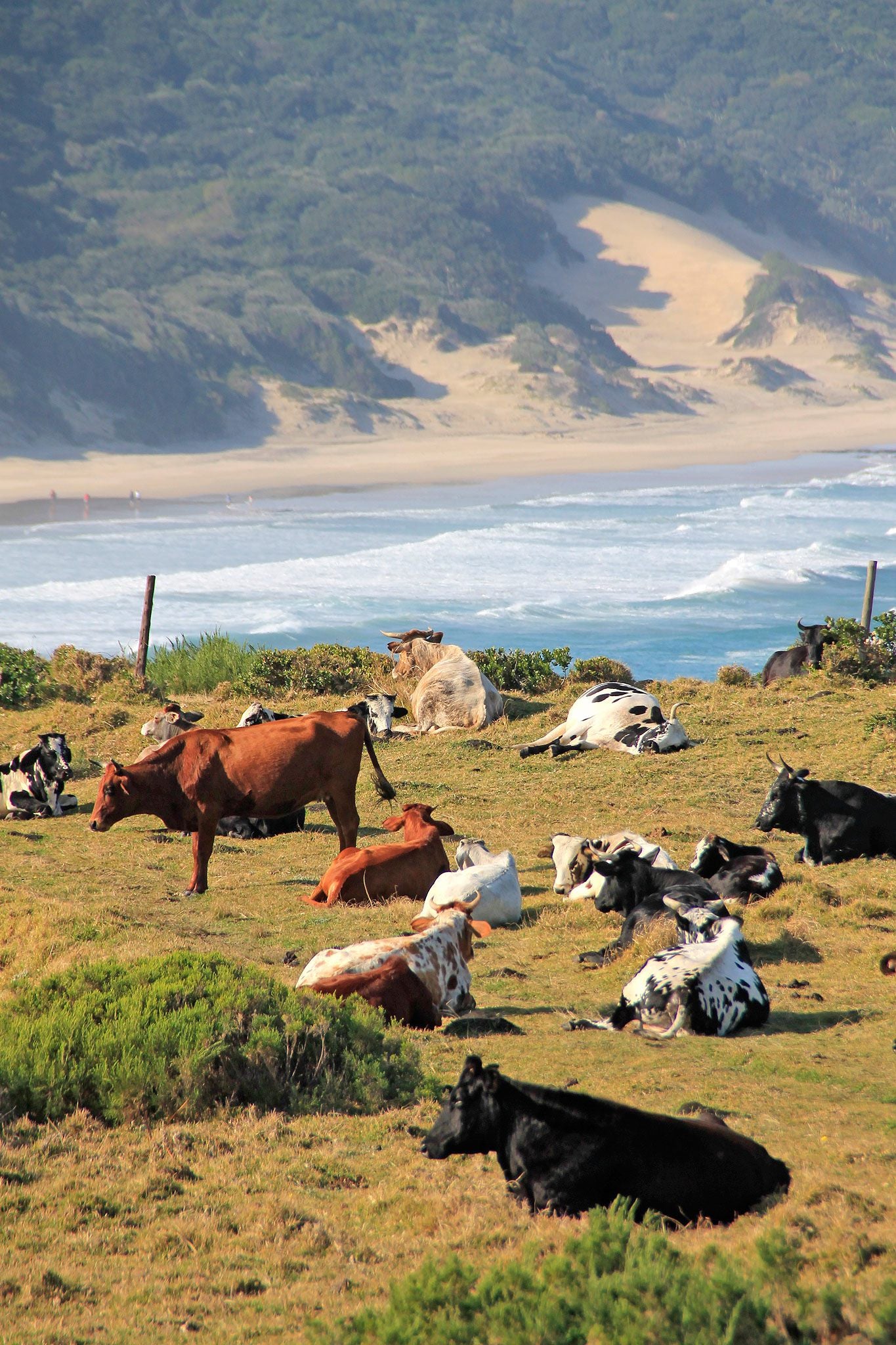  Strandloper Hiking Trail