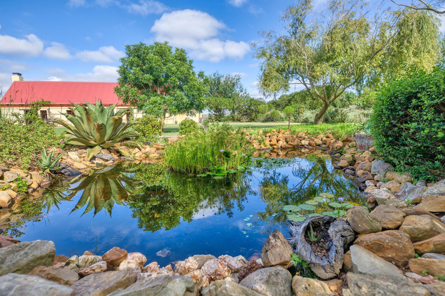  Strandveld Vineyards