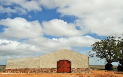  Strandveld Vineyards