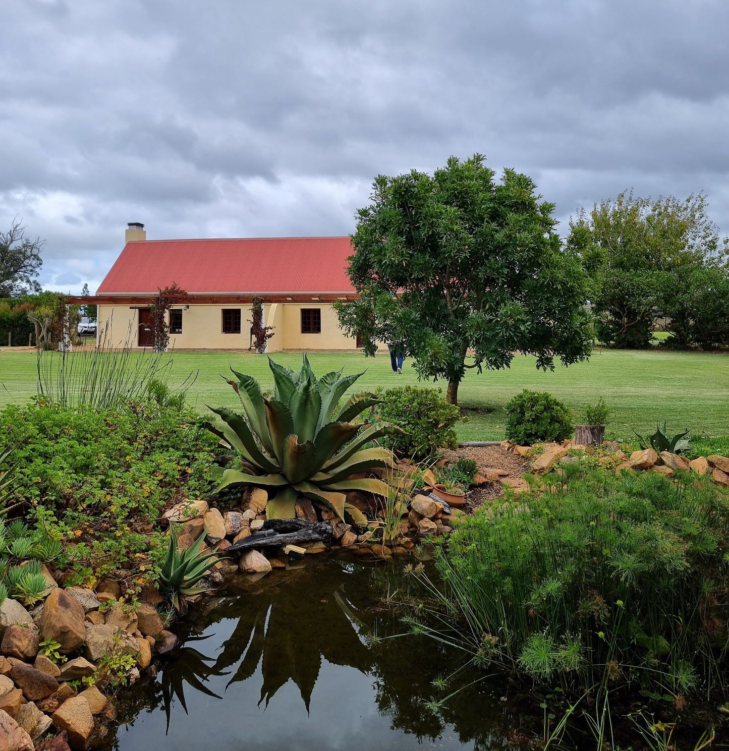  Strandveld Vineyards