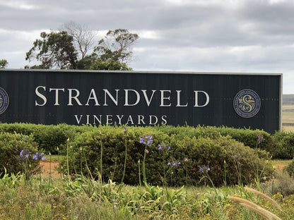  Strandveld Vineyards