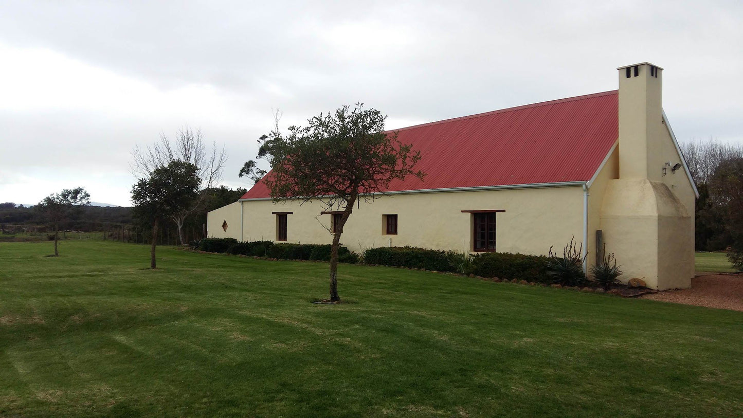  Strandveld Vineyards