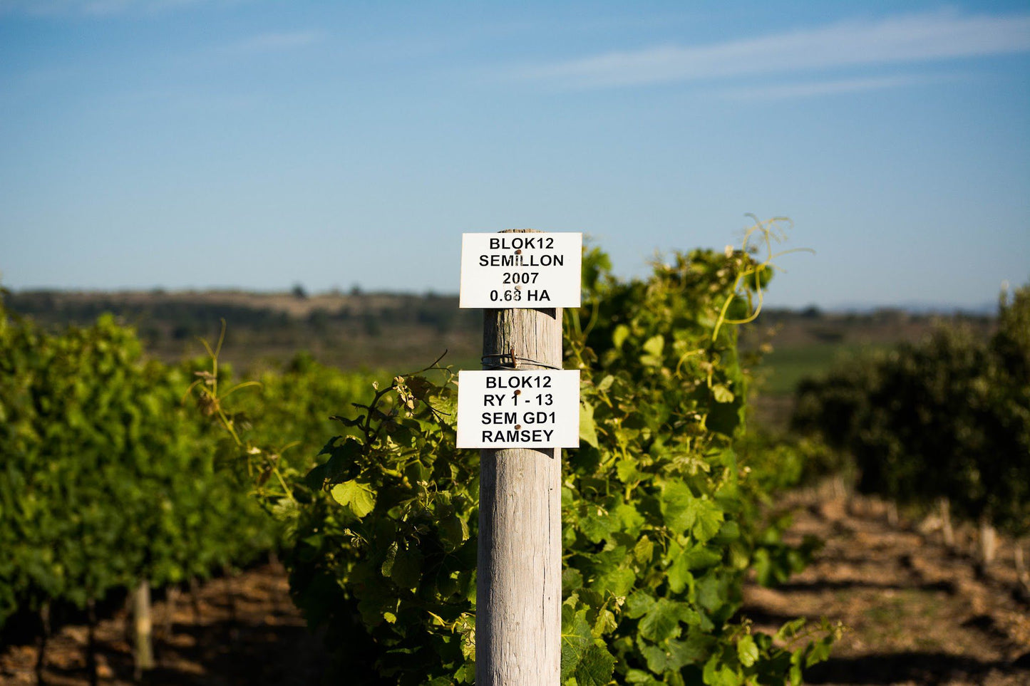  Strandveld Vineyards