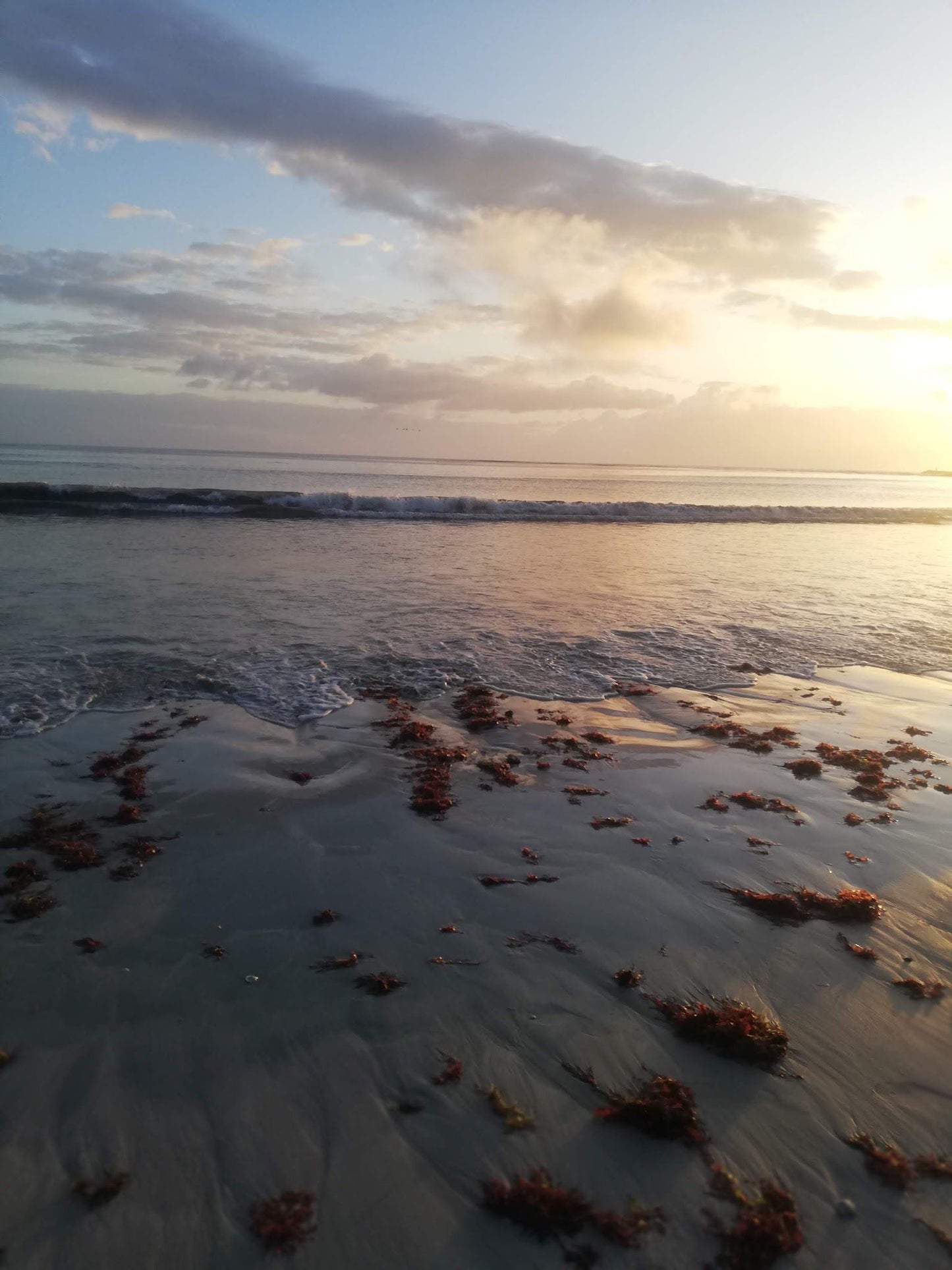  Struisbaai Main Beach