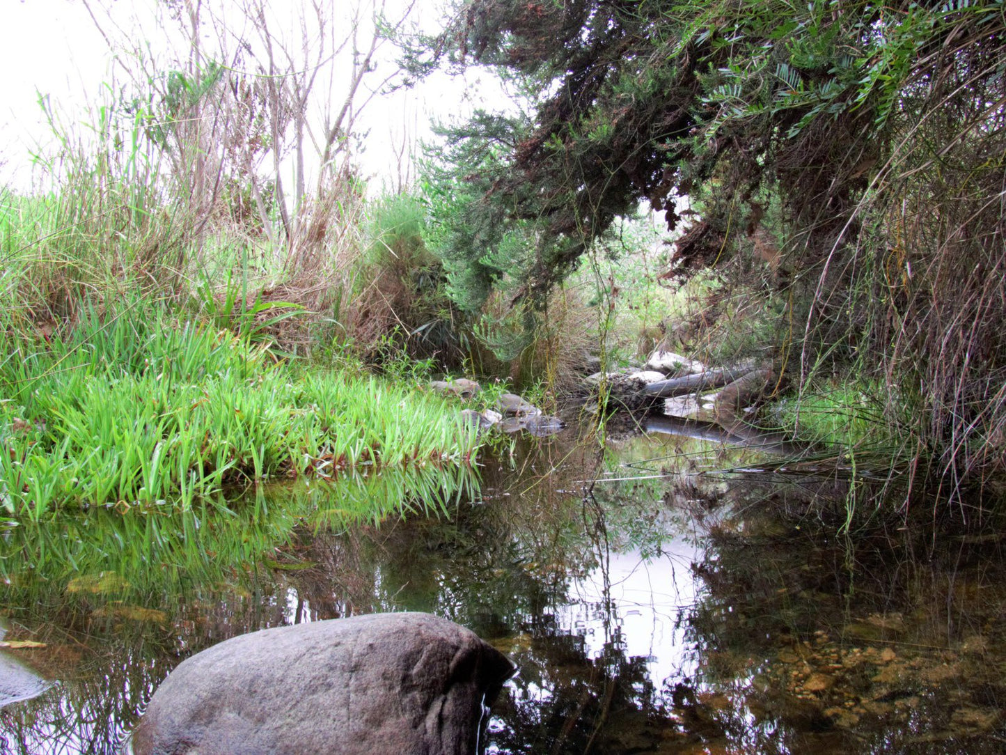  Sunbird Centre