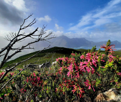 Suther Peak