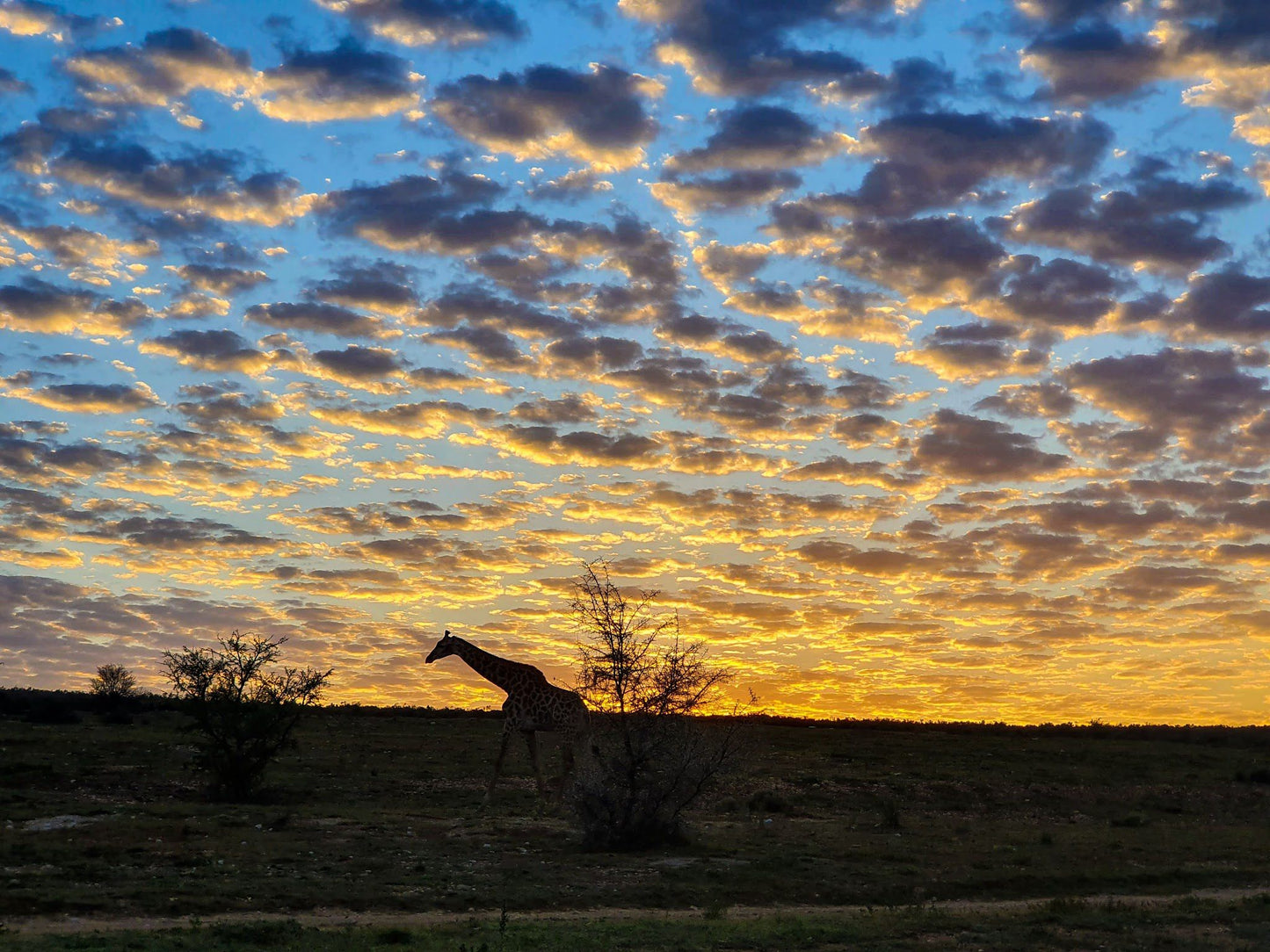  Swartberg Game Reserve