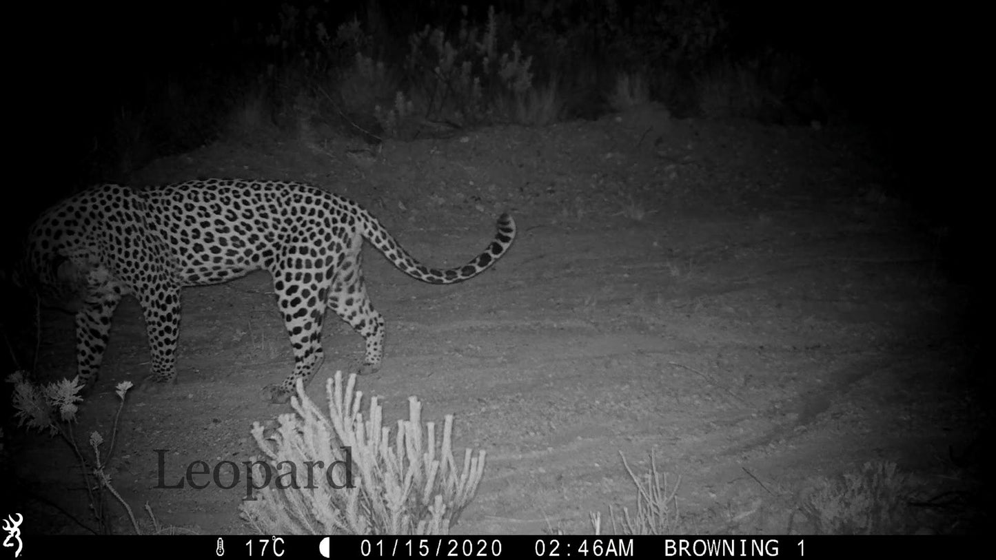  Swartberg Game Reserve