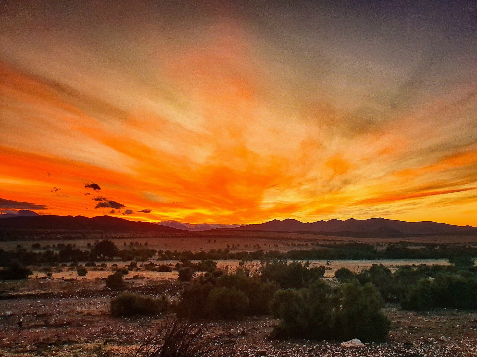  Swartberg Game Reserve