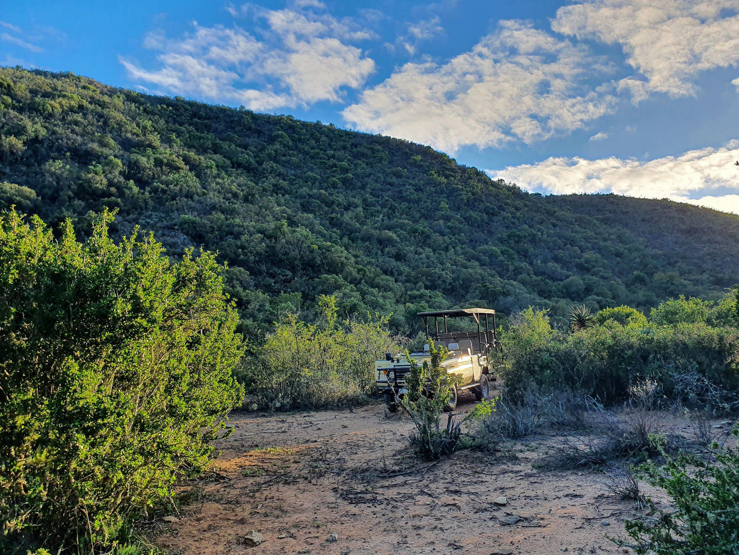  Swartberg Game Reserve