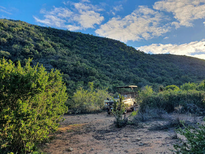  Swartberg Game Reserve