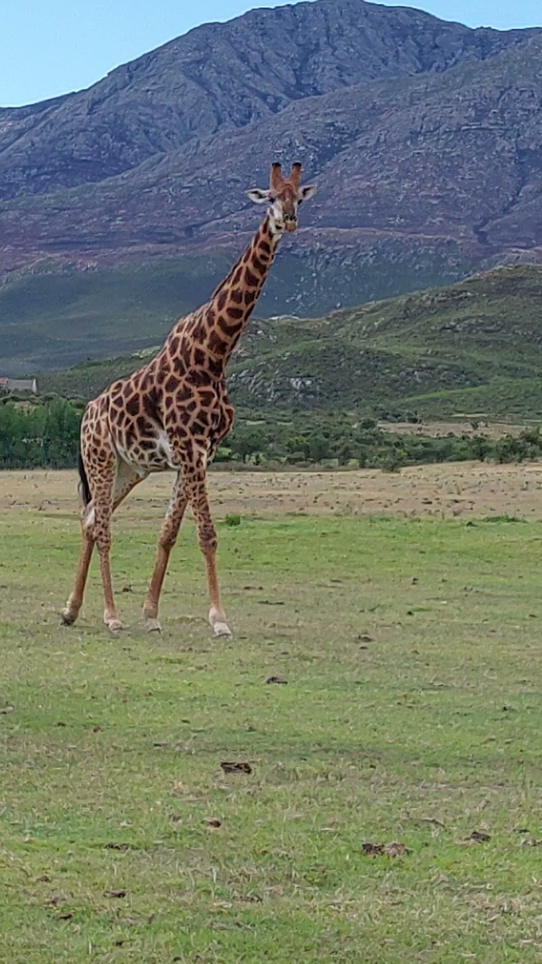  Swartberg Game Reserve