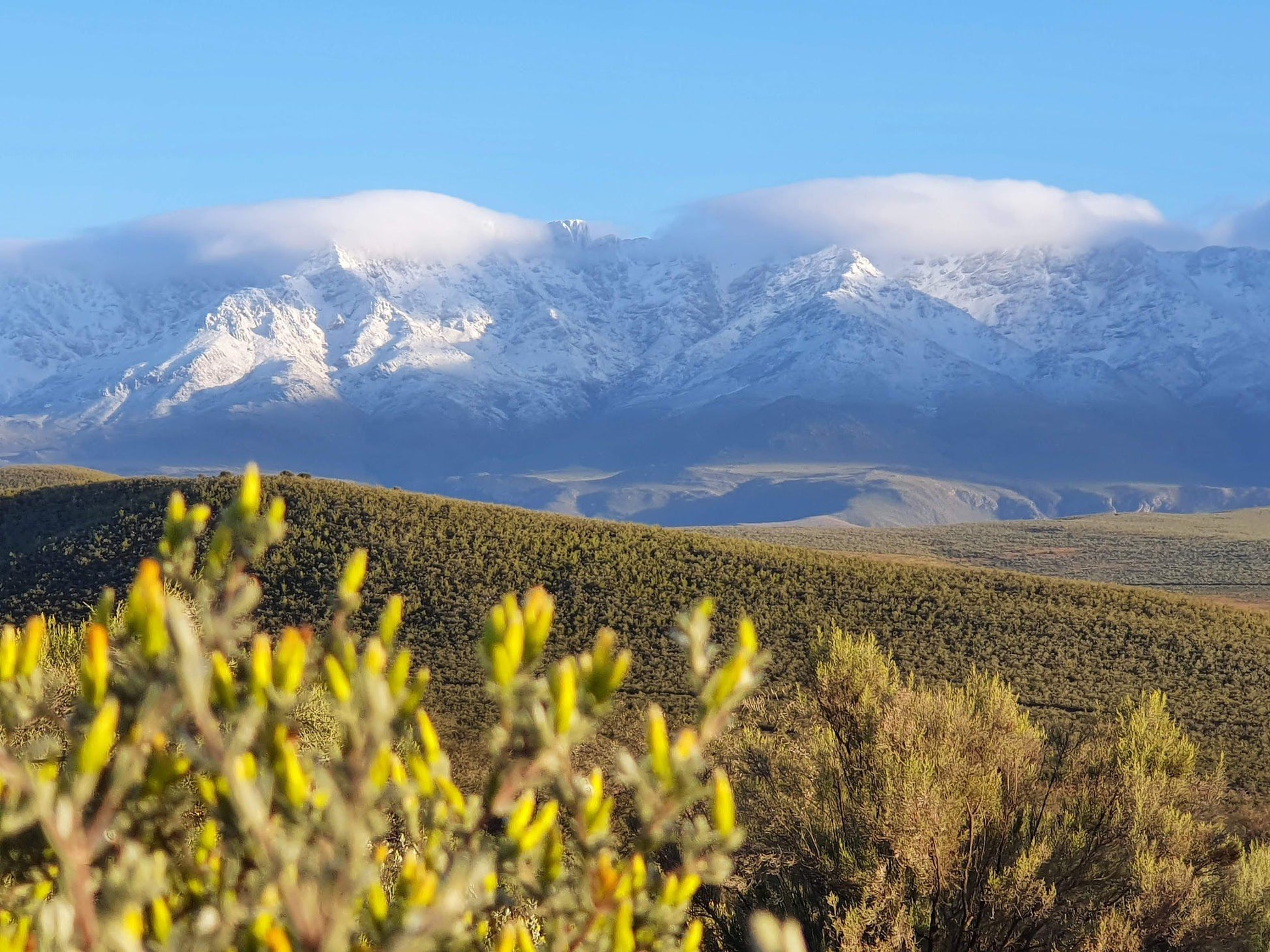  Swartberg Game Reserve