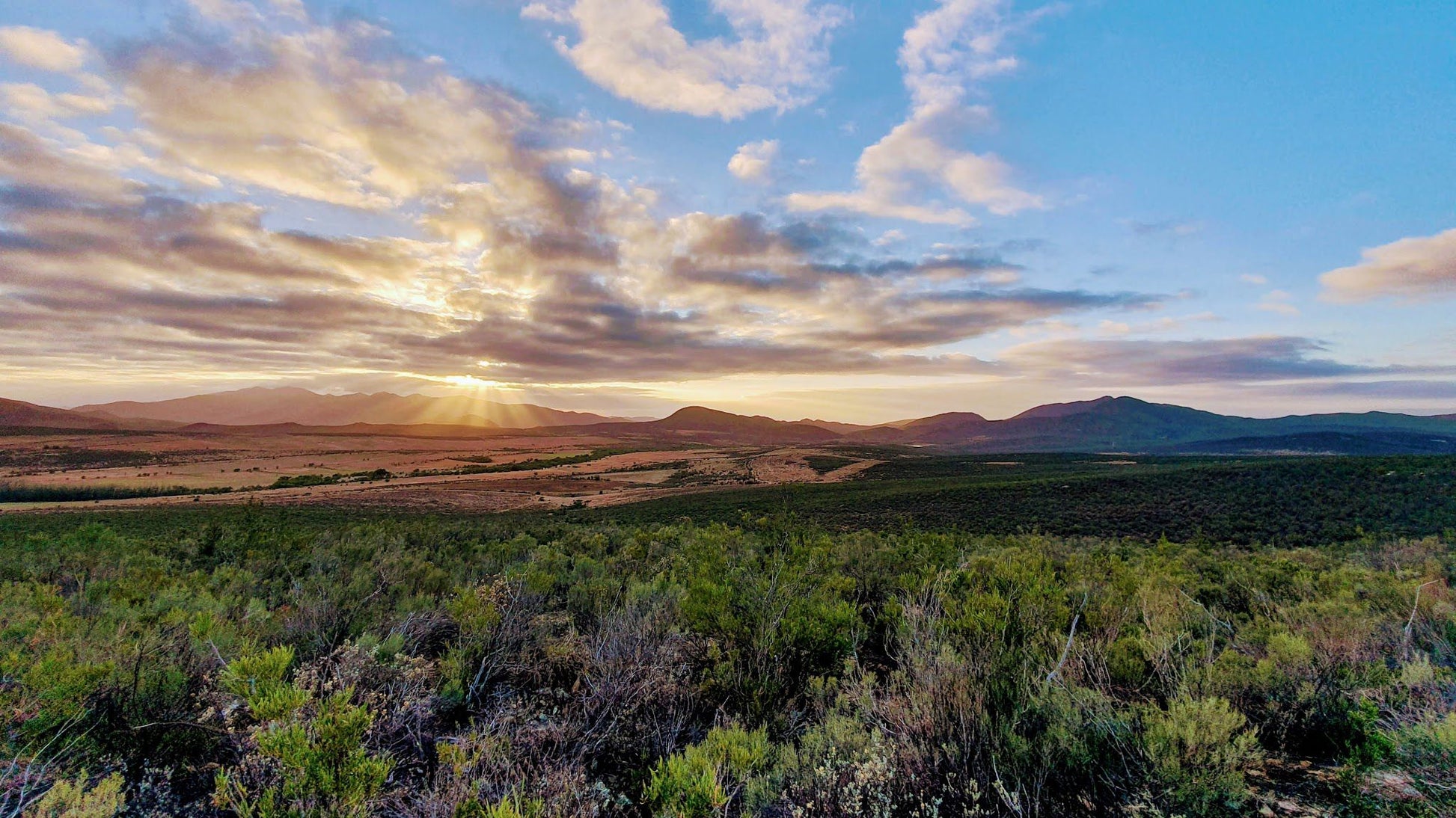  Swartberg Game Reserve