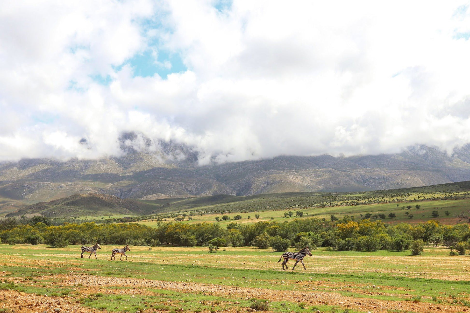  Swartberg Game Reserve